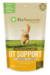 UT Support For Cats